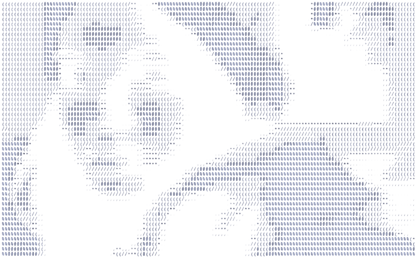 ascii portrait of nikki