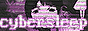 cybersleep
